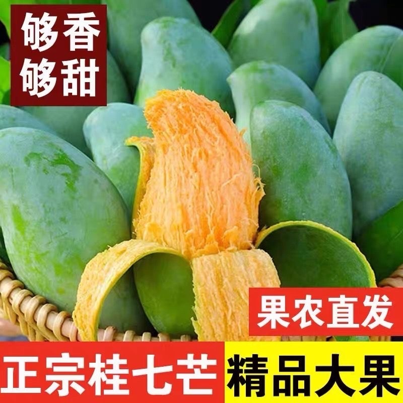 百色桂七大量上市支持全平台线上线下一件代发