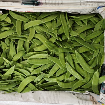 脱花荷兰豆