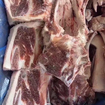羊胯骨