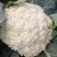 花菜
