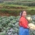 花菜