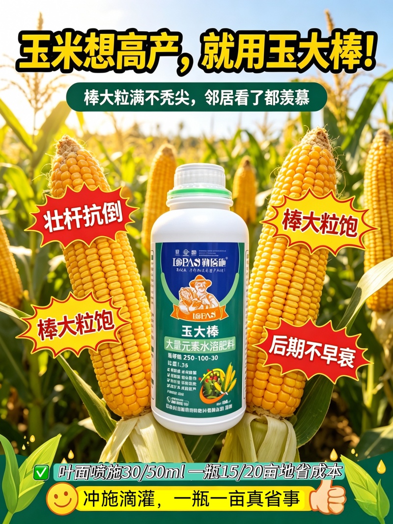 玉大棒玉米肥容易吸收替代追肥效率提高省心省力根杆粗壮