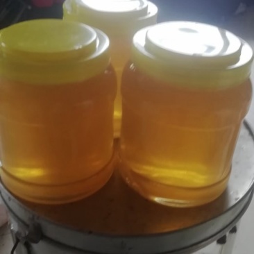 椴树蜜