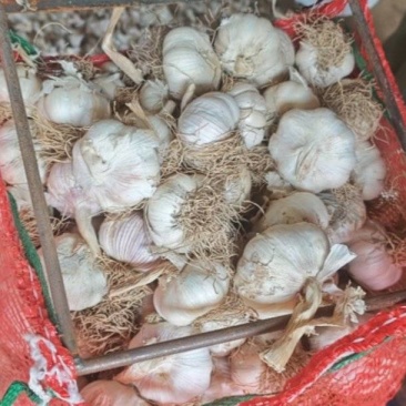 大混级