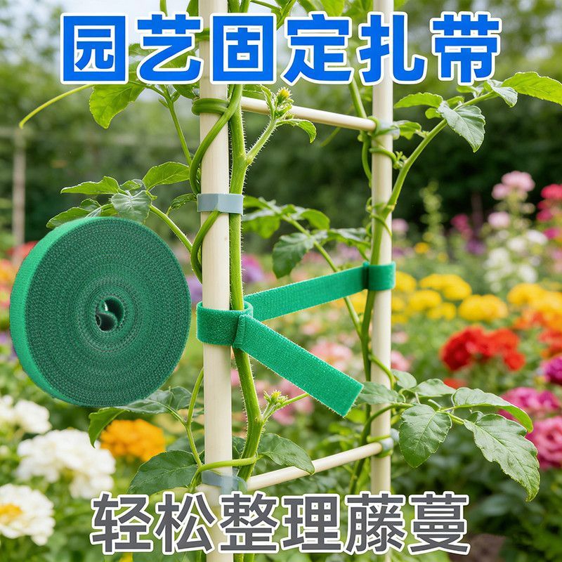 魔术贴扎带打卷绿植捆绑绿色绑树绑植物不伤植物扶正支撑植物