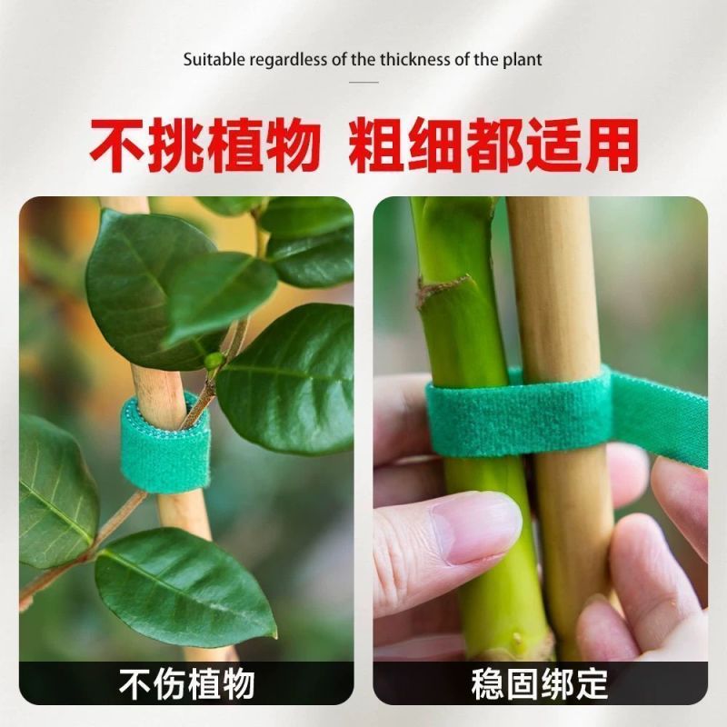 魔术贴扎带打卷绿植捆绑绿色绑树绑植物不伤植物扶正支撑植物