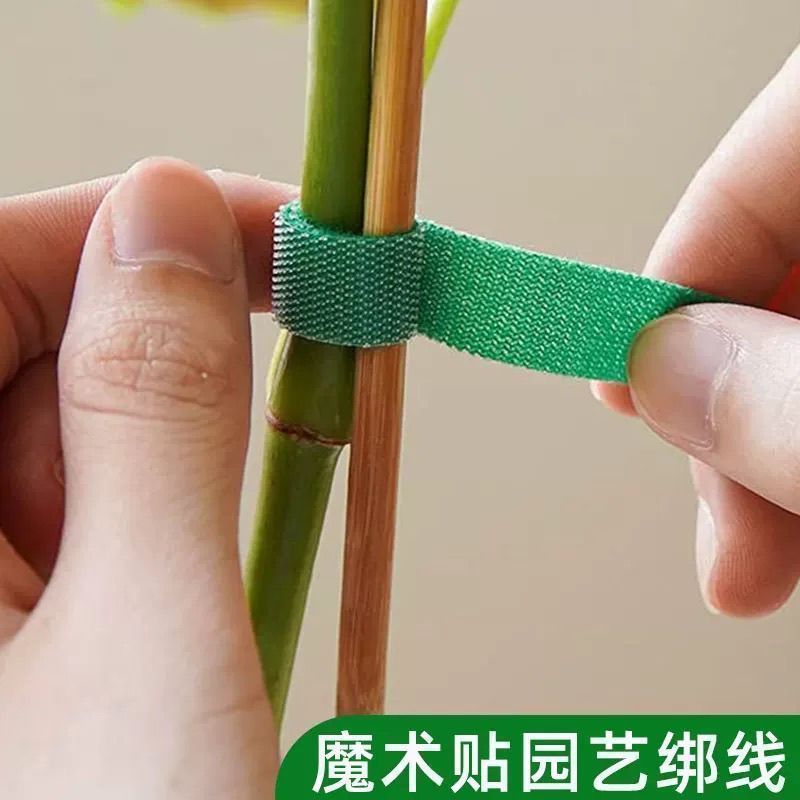 魔术贴扎带打卷绿植捆绑绿色绑树绑植物不伤植物扶正支撑植物