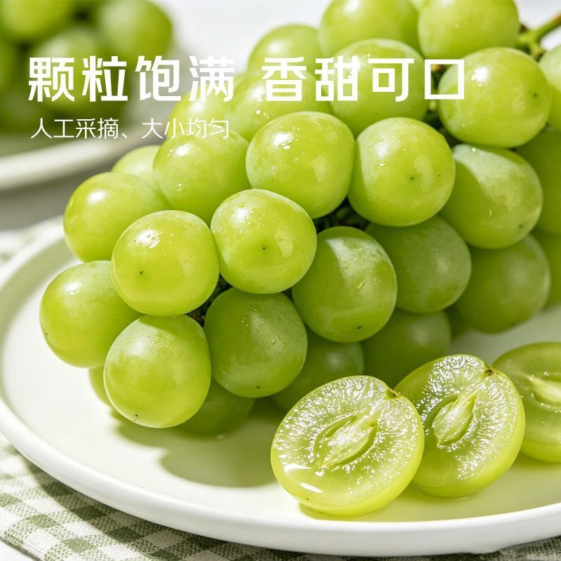 阳光玫瑰葡萄湖北荆州自家亲戚种植园直销欢迎过来采购
