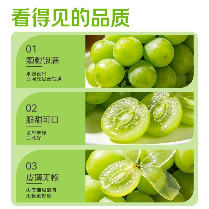 阳光玫瑰葡萄湖北荆州自家亲戚种植园直销欢迎过来采购