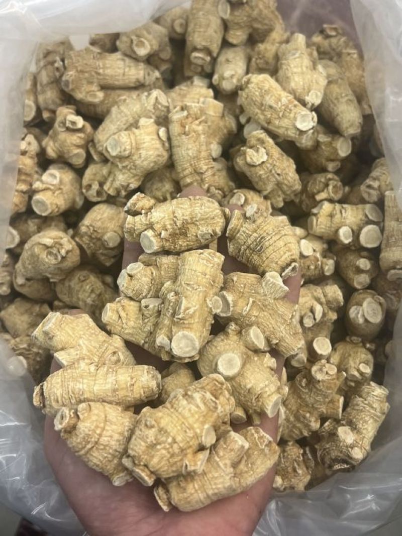 加拿大圆粒西洋参，选圆规格齐全，广州实体批发大货联系报价