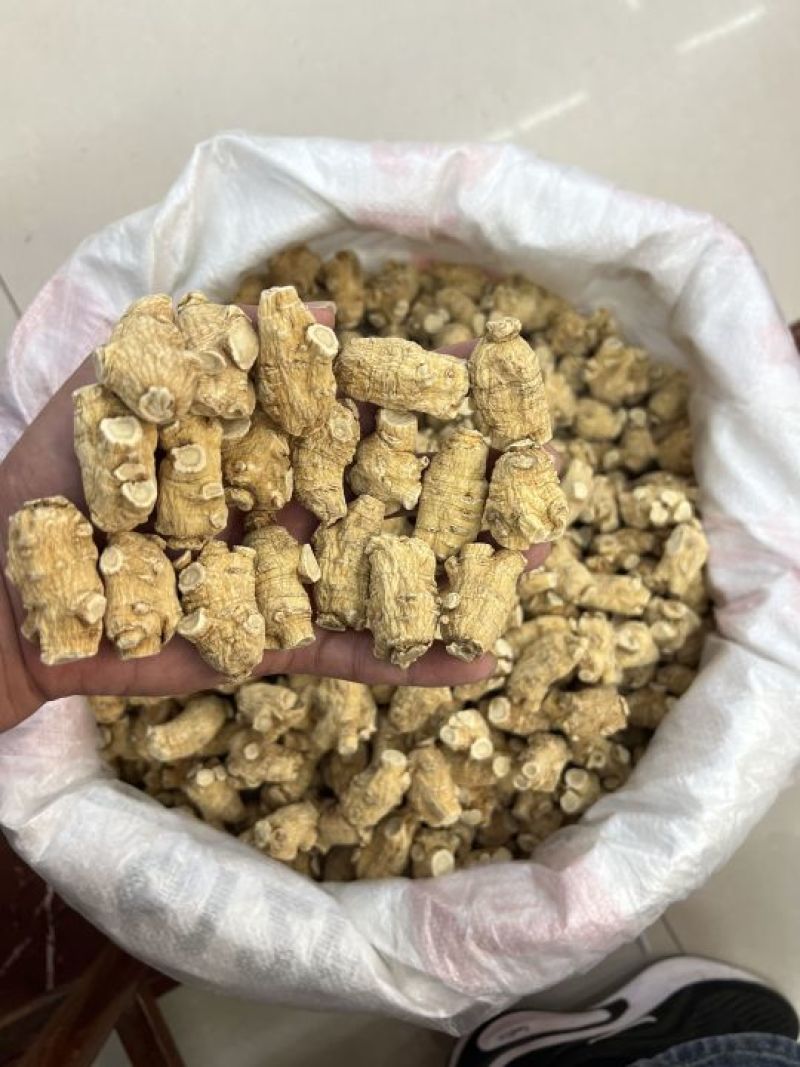 加拿大圆粒西洋参，选圆规格齐全，广州实体批发大货联系报价