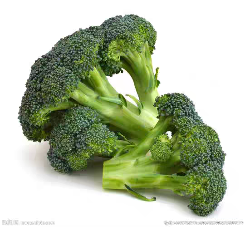 新鲜西兰花现摘现发产地直发量大价优