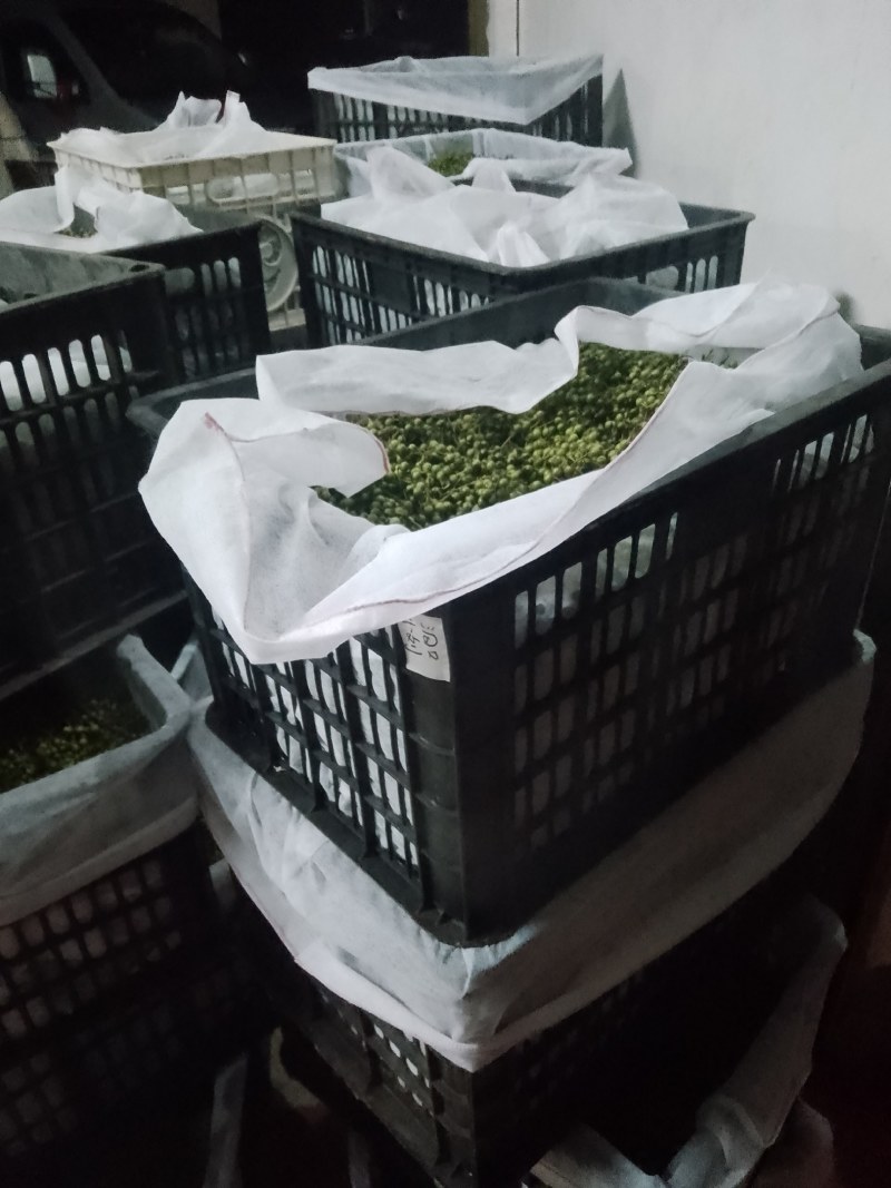 木姜子鲜果