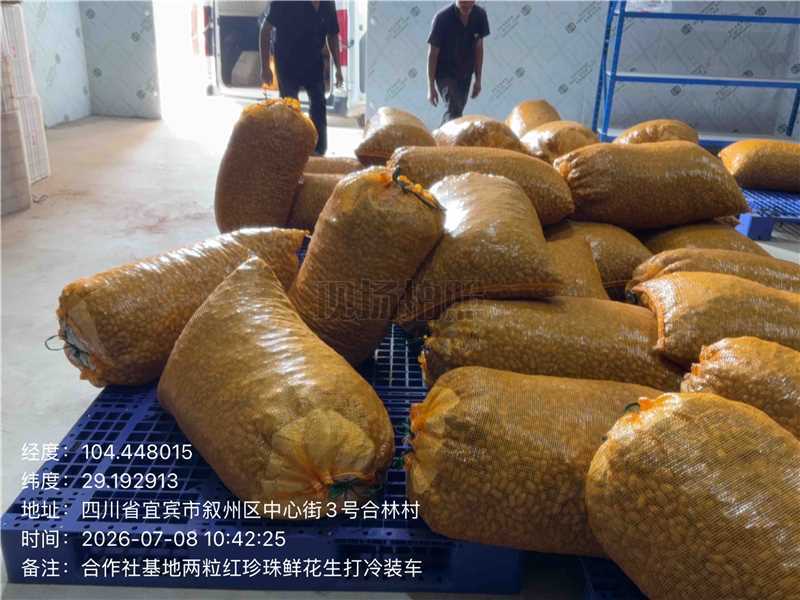 四川红沙土花生/两粒红珍珠花生/产区直发/货源充足