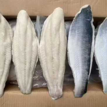 维尔康一手巴沙鱼没会员别和ai聊🙏