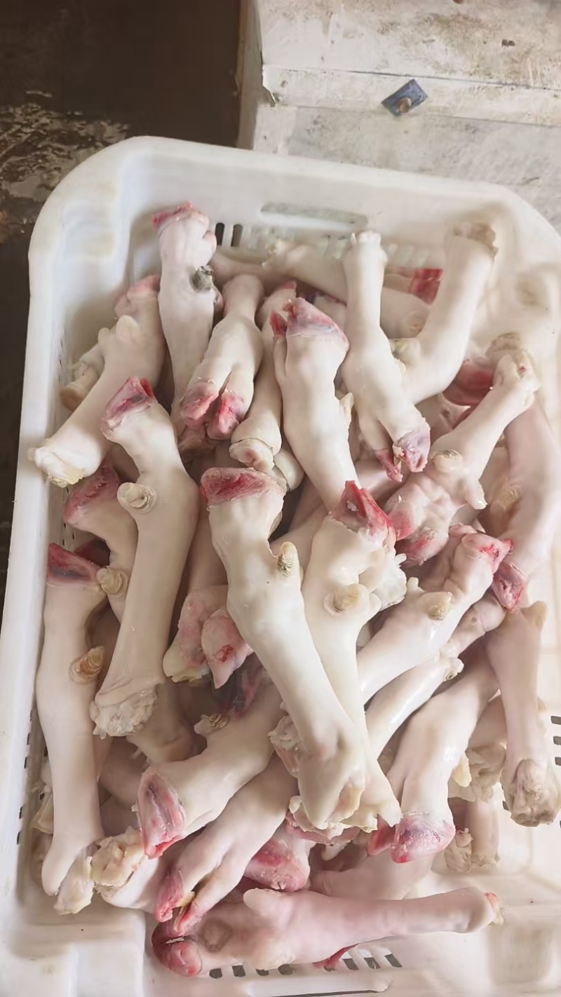 生羊蹄，工厂直发。有产有量。