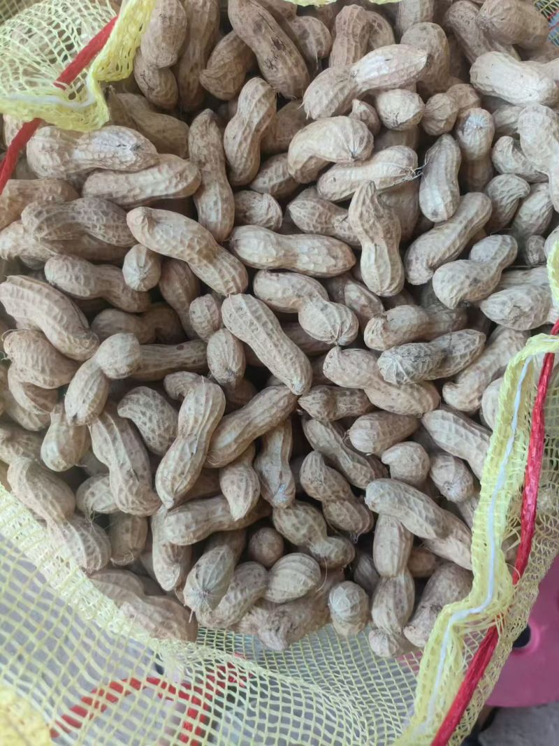 大白沙系列花生开封花生，一手货源，量大从优，电联价格可谈