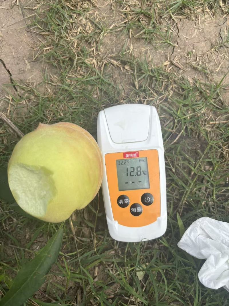 霞辉8号软3两起上不封顶统货2.2元