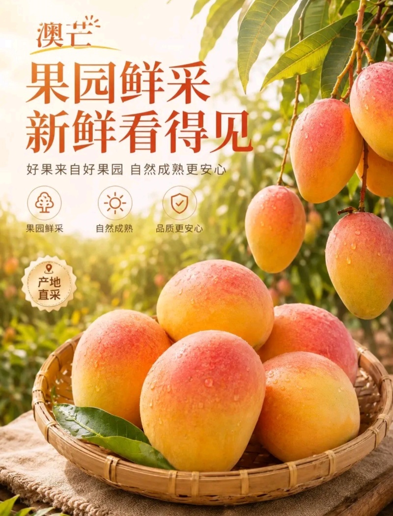 云南高山苹果芒澳芒现摘皮薄无丝香甜爆汁当季鲜果整箱包邮