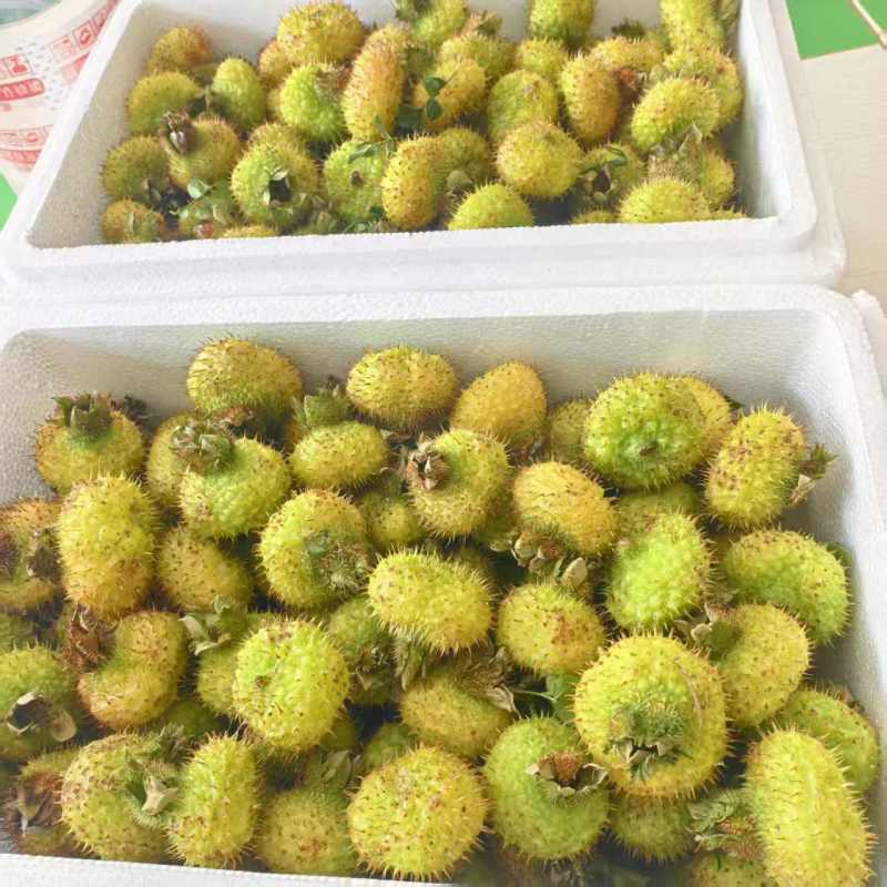 7月8号今日商品刺梨鲜果