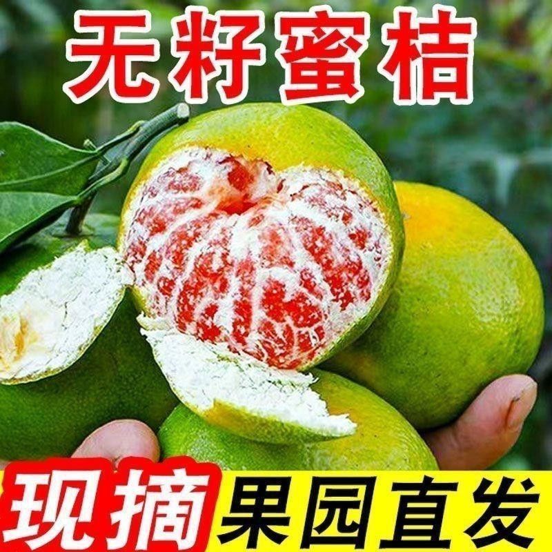 云南青皮蜜桔，现货，对接市场，电商，，可一件代发