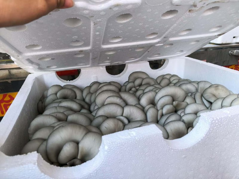 精品黑平，净重10斤以上，品质保证，货源充足