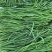 江苏新鲜韭菜大叶韭菜产地直供量大从优欢迎联系