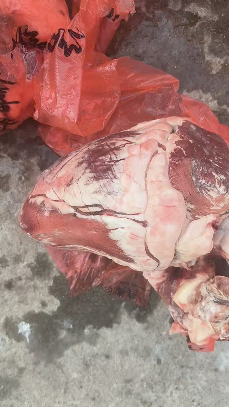 纯干牛心源头工厂全国冷链发货性价比**高