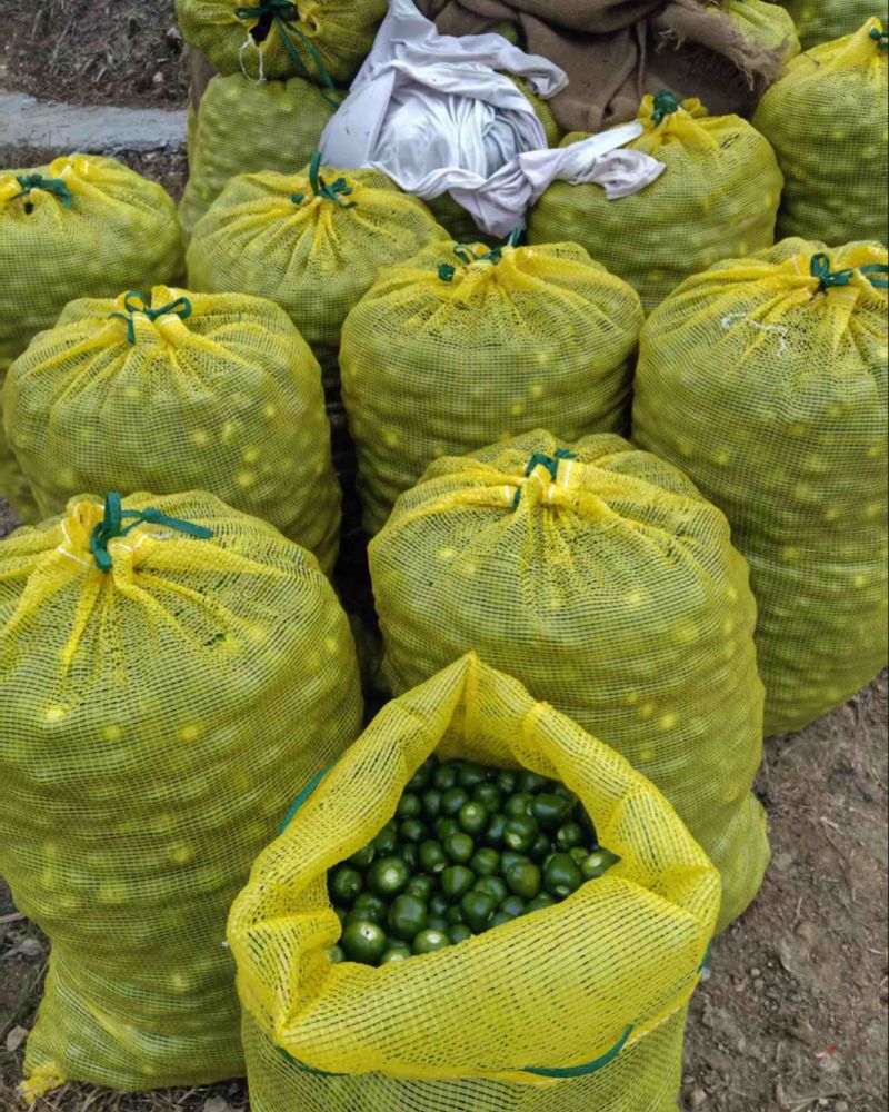 青椒，