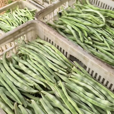 架豆角