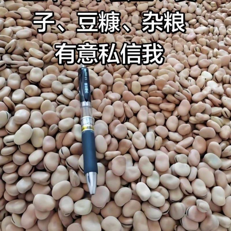 出售蚕豆