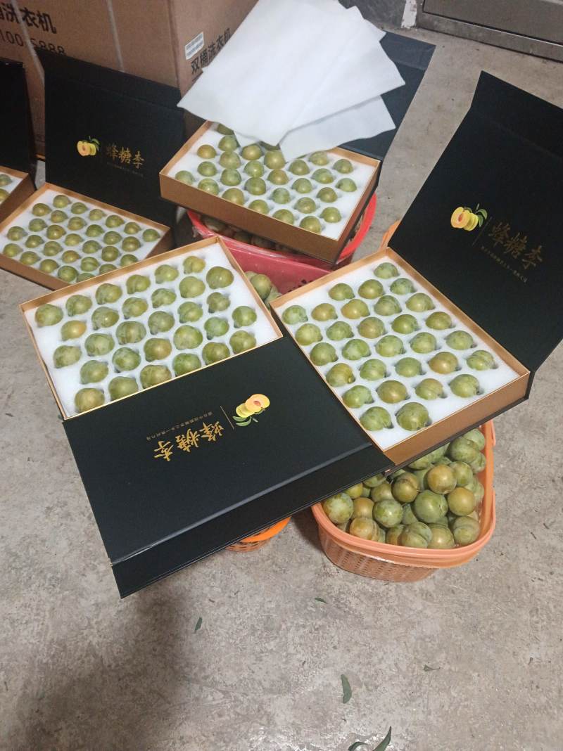 贵州六马蜂糖李