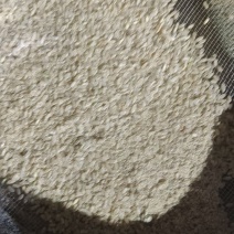 大米副料