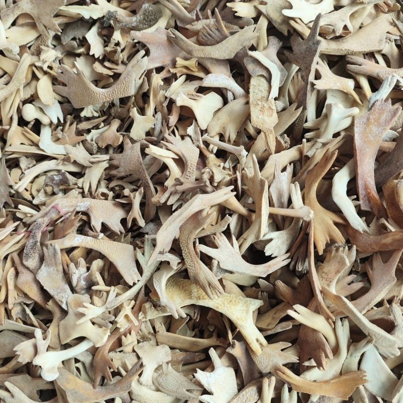 包邮）中药材生鳖甲500克；另有制甲鳖500克