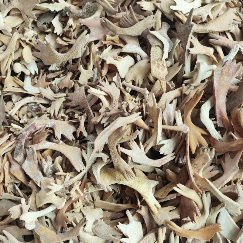 包邮）中药材生鳖甲500克；另有制甲鳖500克