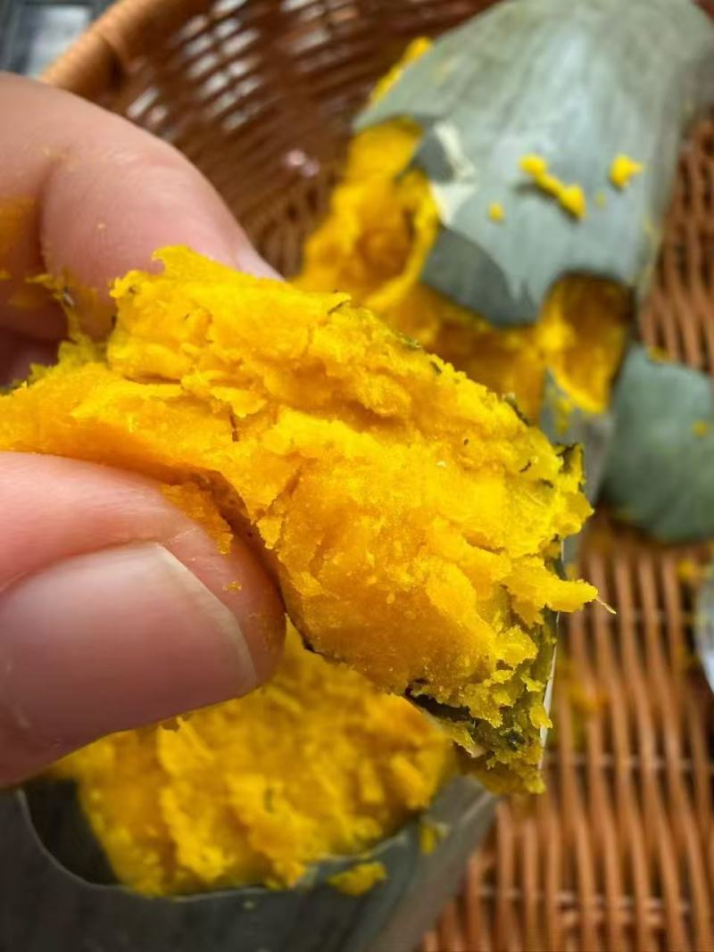 糖化好的白贵族一级货量大价格可谈