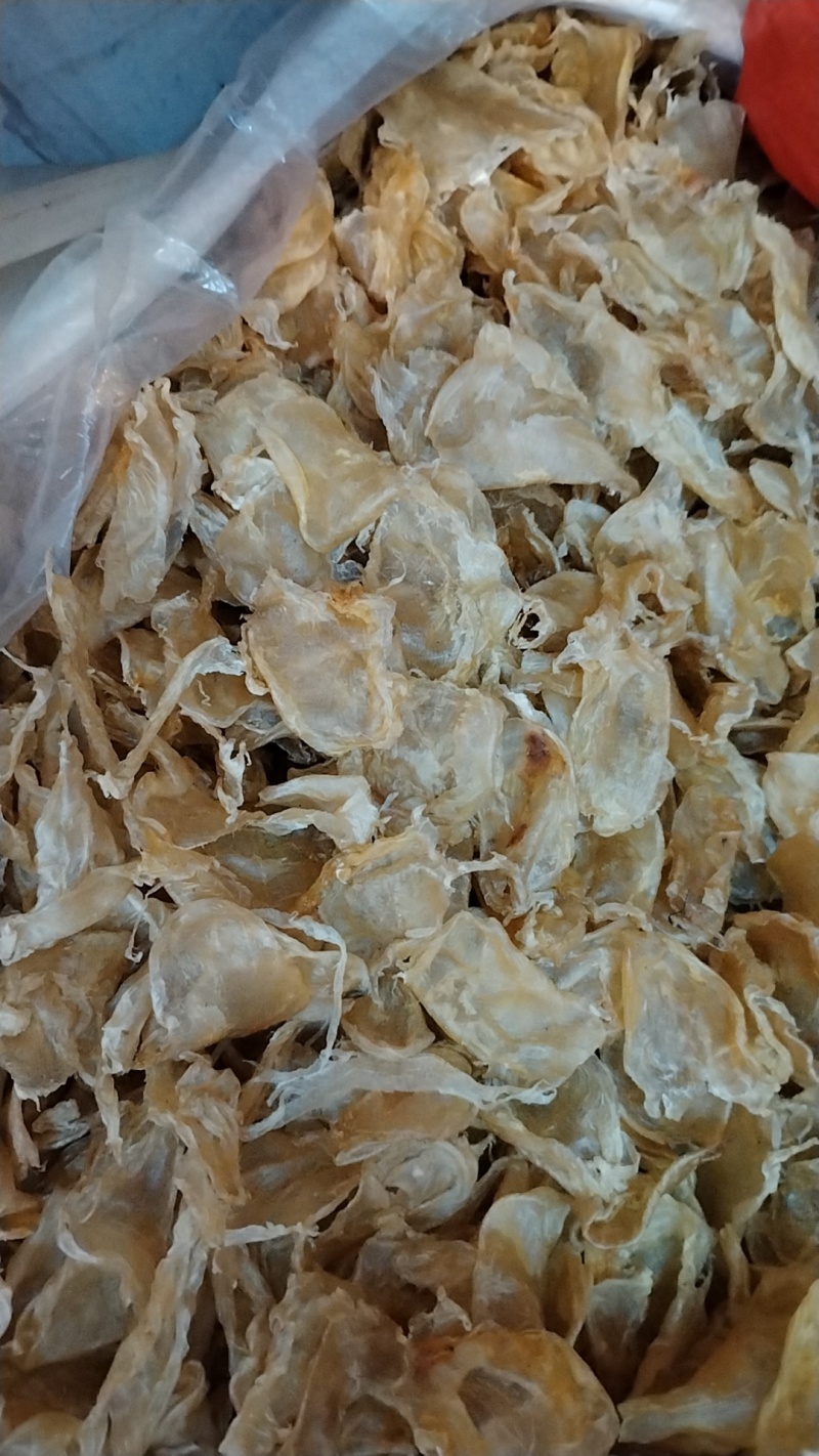 新到一批巴基斯坦鸡蛋胶，质量杠杠的，量大价优