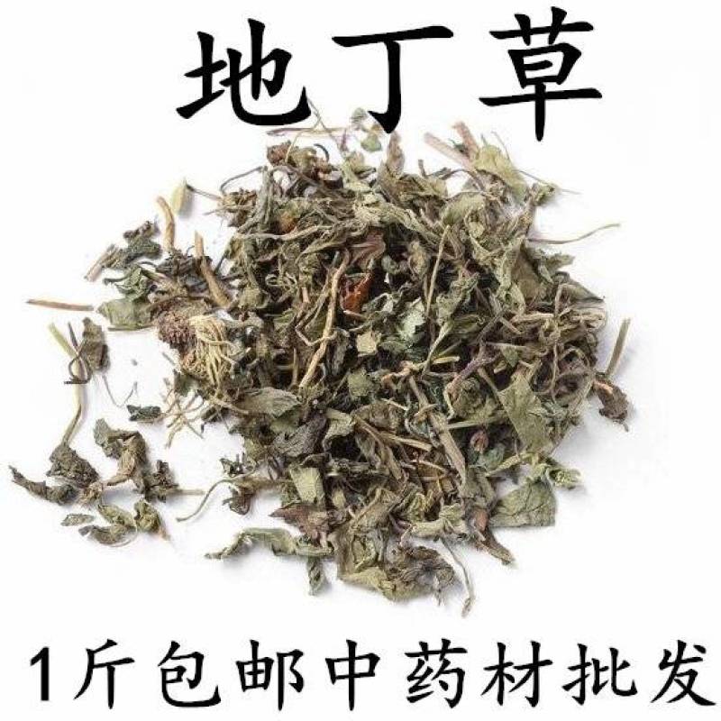 包邮）中药材地丁草正宗紫花地丁草500克