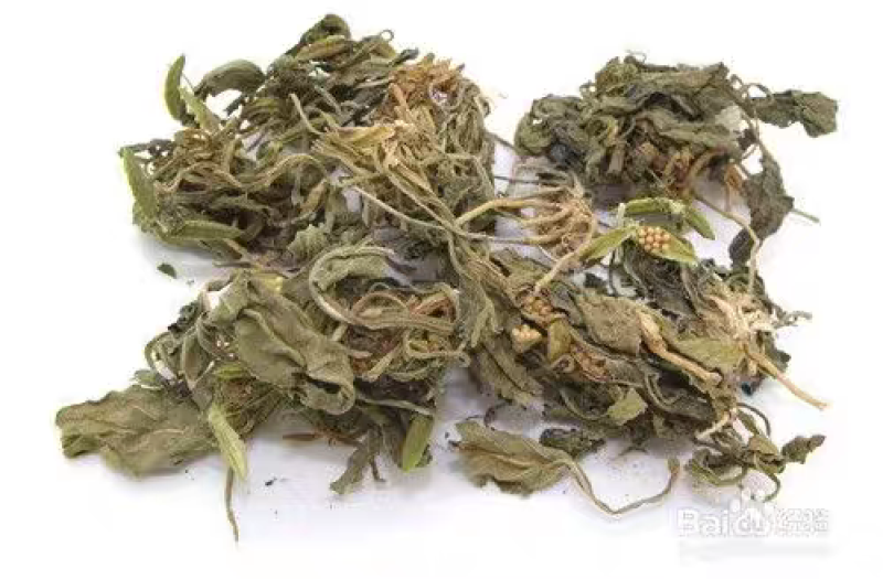 包邮）中药材地丁草正宗紫花地丁草500克