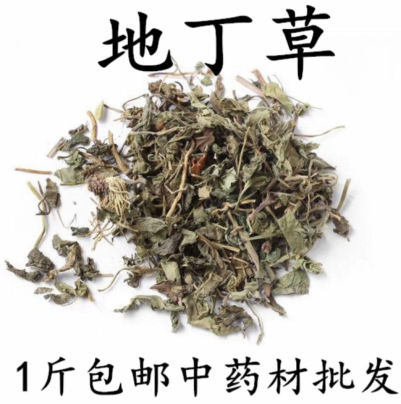 包邮）中药材地丁草正宗紫花地丁草500克