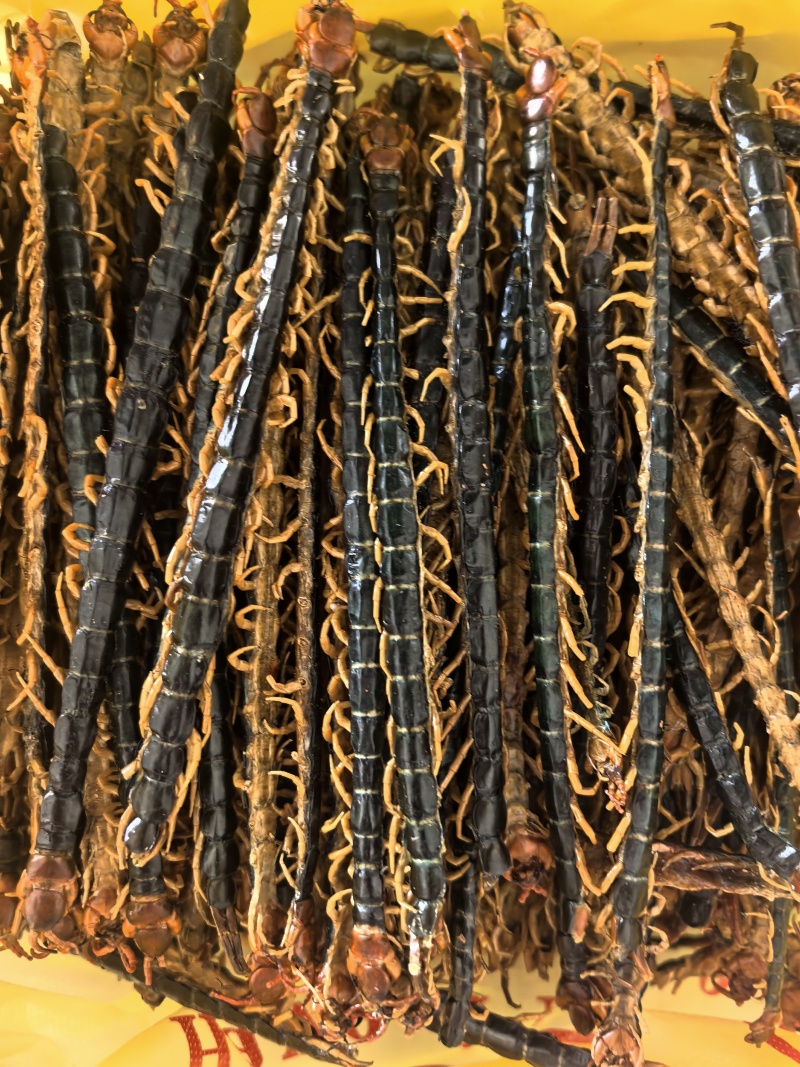 蜈蚣蜈蚣皮国产蜈蚣现货供应量大从优
