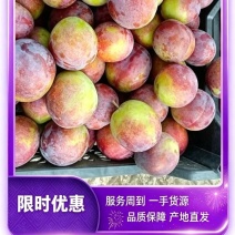 大红袍李子果型硕大、饱满圆润，果色鲜红靓丽。
