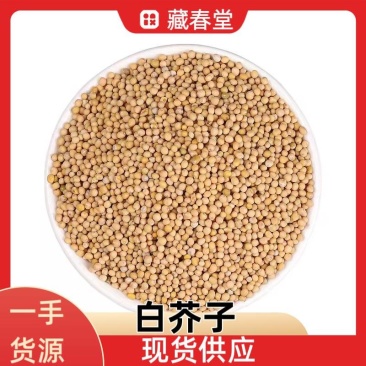 白芥子白介子现货供应量大从优产地货源