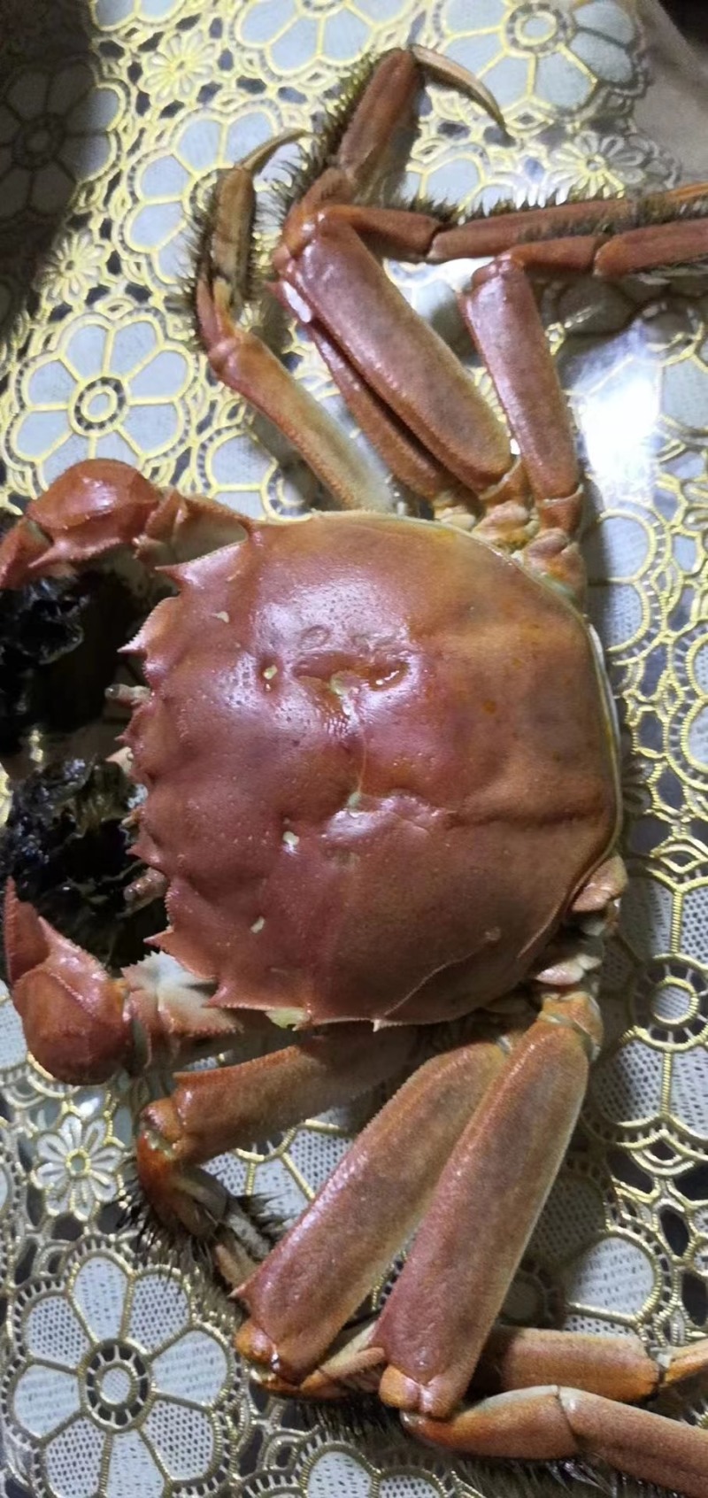 黄蟹