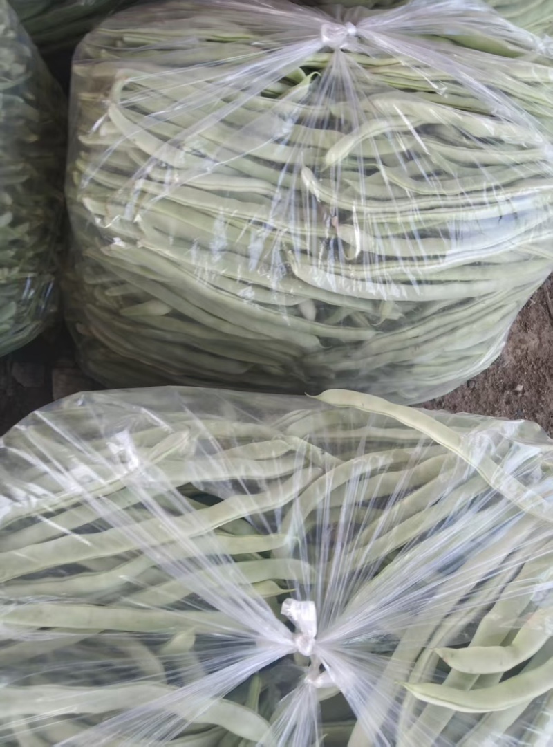 白条豆角量大质优商超市场皆可发货品质好价格低