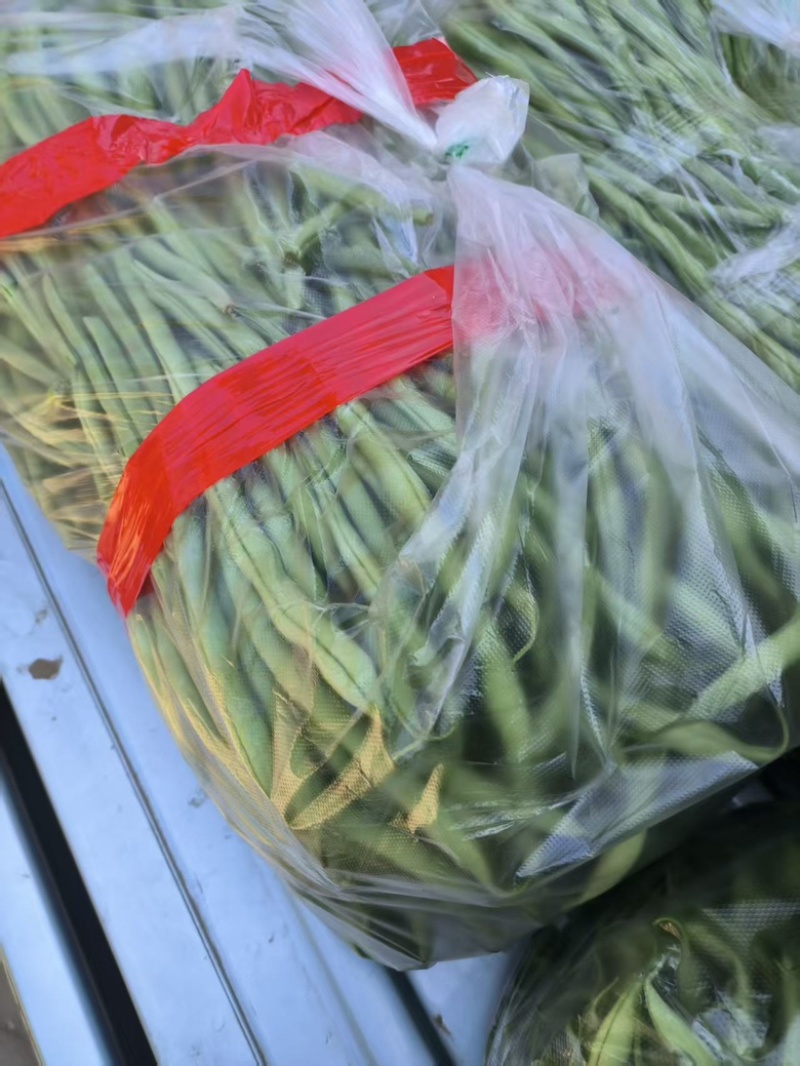 白条豆角量大质优商超市场皆可发货品质好价格低