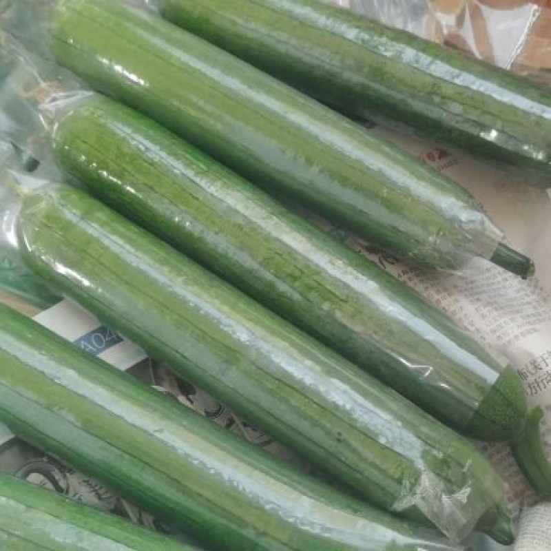 河南焦作油皮丝瓜大量上市，欢迎全国客商前来选购，代发全国
