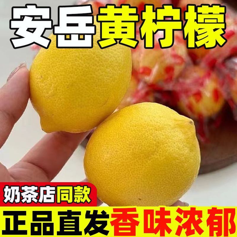 柠檬/榨汁柠檬/安岳柠檬已上市，质量保证全国发货
