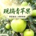汉源头茬青苹果大量上市，对接各种渠道