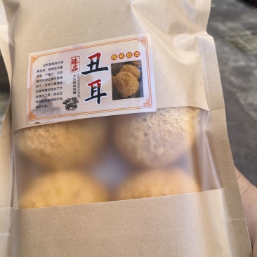 丑耳